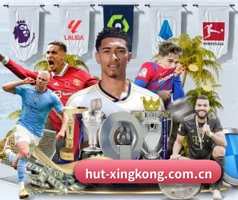 星空体育 APP(xingkong.com)