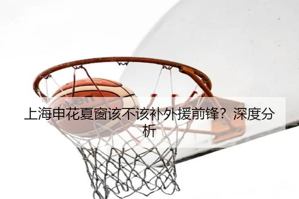 上海申花夏窗该不该补外援前锋？深度分析 - xingkong.com