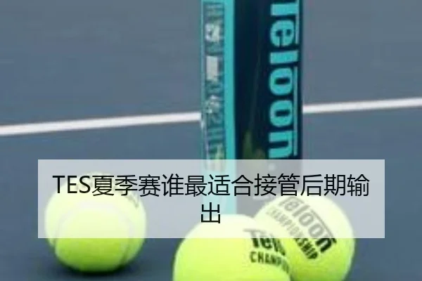 TES夏季赛谁最适合接管后期输出